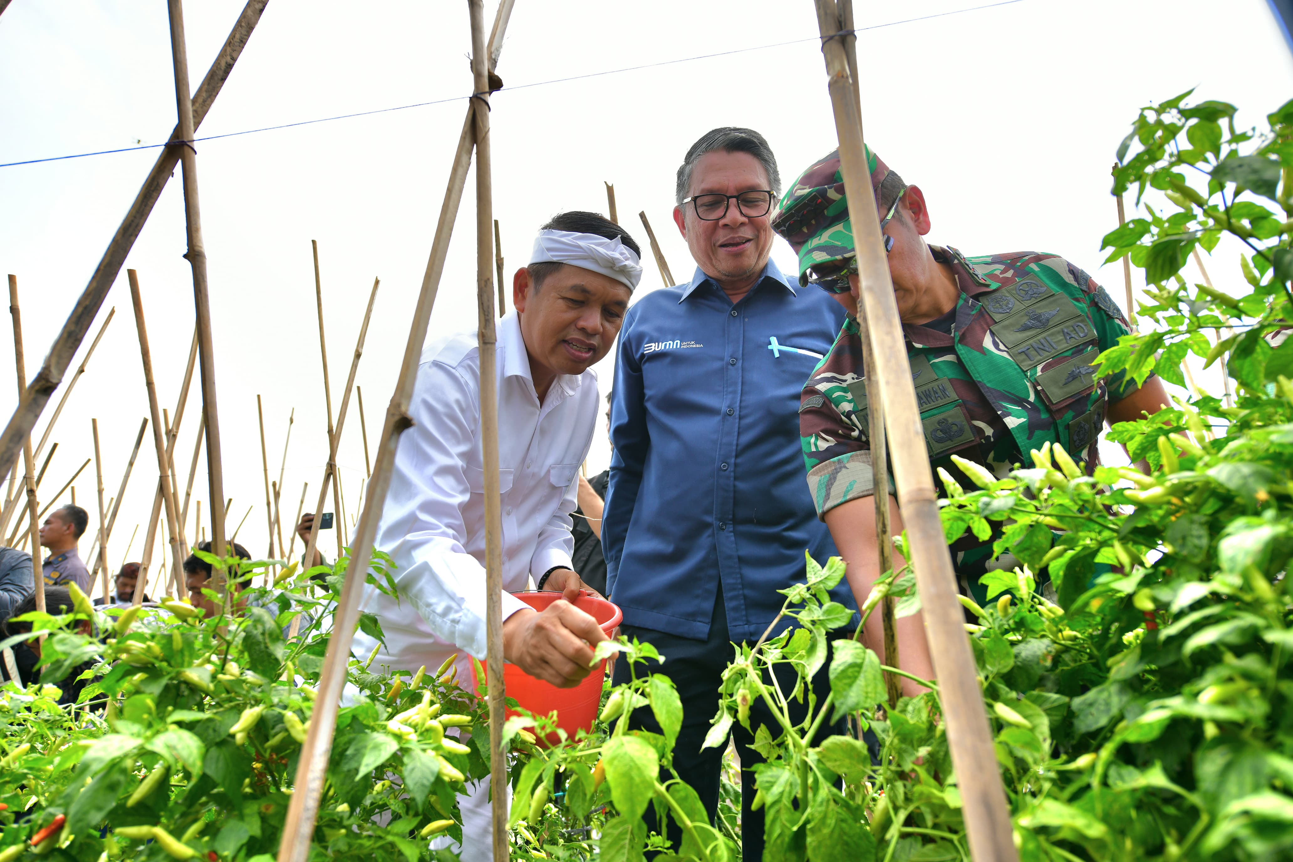 KDM Panen Raya di Gunung Hejo