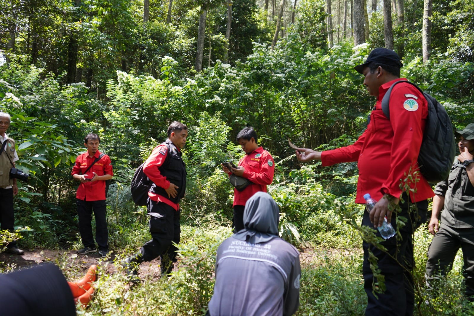 Antisipasi Puncak Kemarau, Pemprov Jabar Siaga Penuh Cegah Kebakaran Hutan dan Lahan